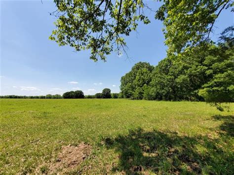 Alabama Pasture Land For Sale Landflip