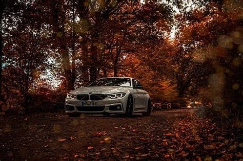 1080p Free Download Bmw Carros Forest M4 Hd Wallpaper Peakpx