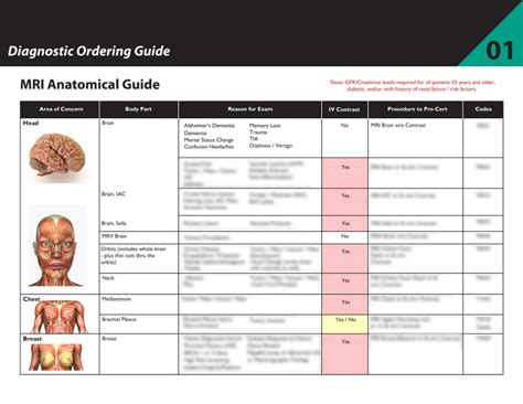 Quick Reference Cheat Sheet For Nurse Practitioners Ordering