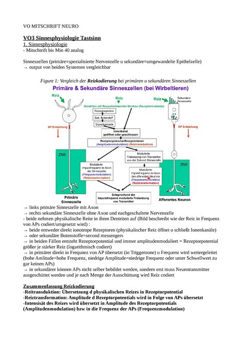 Vo Mitschrift Vorlesungsnotizen Neurobiologie Vo Mitschrift Neuro