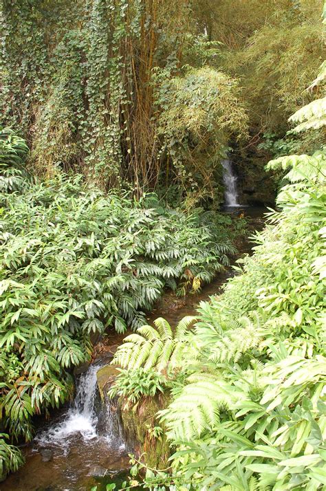 Hidden Hawaiian waterfall | Hawaiian waterfall, Waterfall, Nature