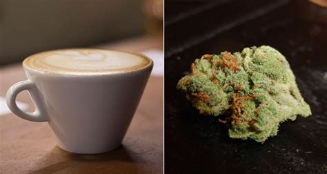 These Weed-Infused Coffee Pods Could Revolutionize Your Morning Cup of ...