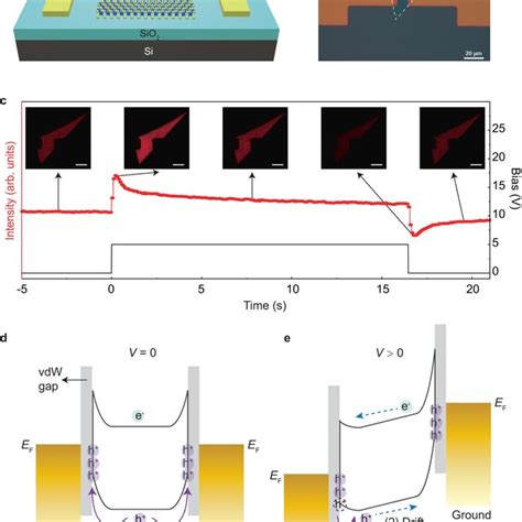 Ac Bias Amplitude Dependent Excitonic Modulation A Dynamics Of