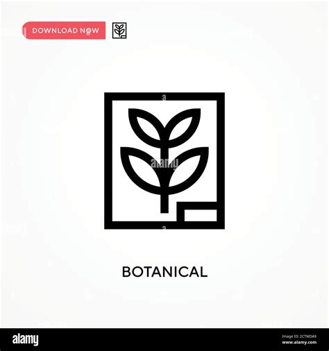 Botanical Vector Icon Modern Simple Flat Vector Illustration For