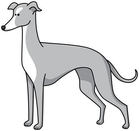 cartoon greyhound - Clip Art Library