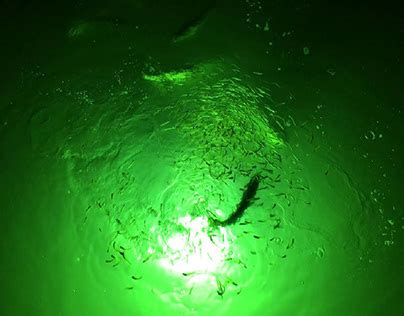 Green Glow Dock Light Llc Behance