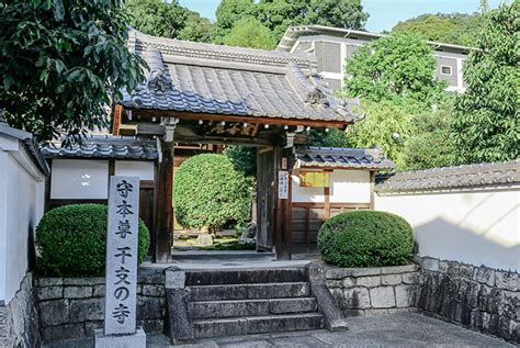 京都で永代供養墓と納骨堂｜宇治市宝善院