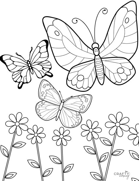 Free Butterfly Coloring Pages to Print - Crafty Morning