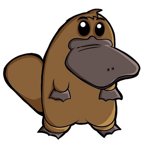 Duck Billed Platypus Illustrations Royalty Free Vector Graphics And Clip