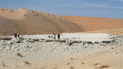 Prehistoric Desert Footprints Are Earliest Evidence For Humans On