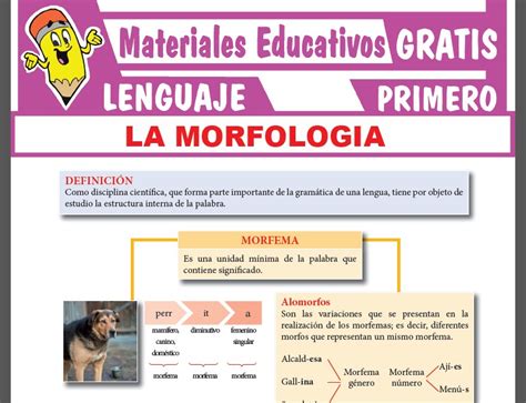 Explora La Importancia De La Morfolog A En El Estudio Del Lenguaje