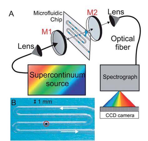 Figure 1 From Broadband Cavity Enhanced Absorption Spectroscopy For