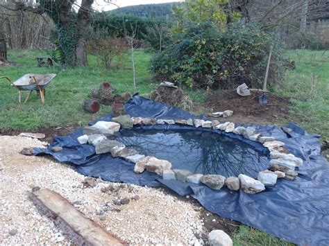 Une mare naturelle au jardin visites et méthodes Le potager permacole