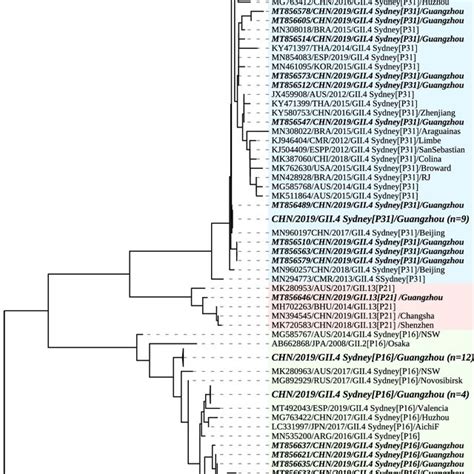 Phylogenetic Analysis Based On A The Partial Rdrp Genes228 Bp And B