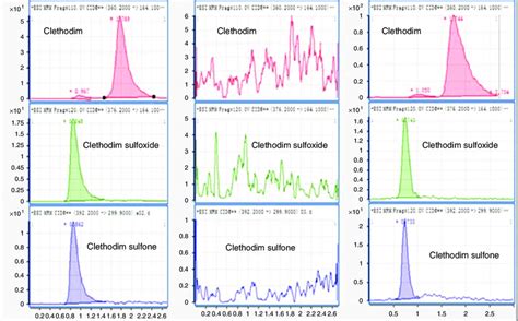 Lc Msms Chromatograms Of Clethodim And Its Two Oxidation Metabolites Download Scientific