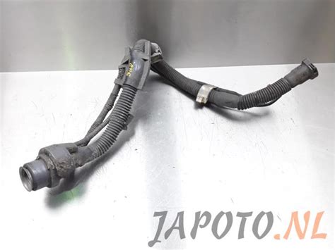 Toyota Iq Tubes De Remplissage R Servoir Essence Stock