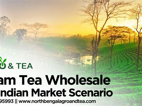 Assam Tea Wholesale Unveiling Flavors And Fortunes