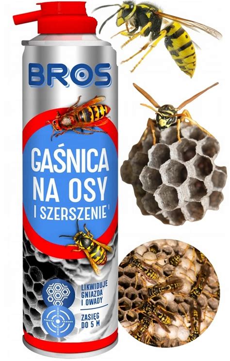 Bros Ga Nica Do Metr W Na Osy I Szerszenie Likwiduje Gniazda I Owady