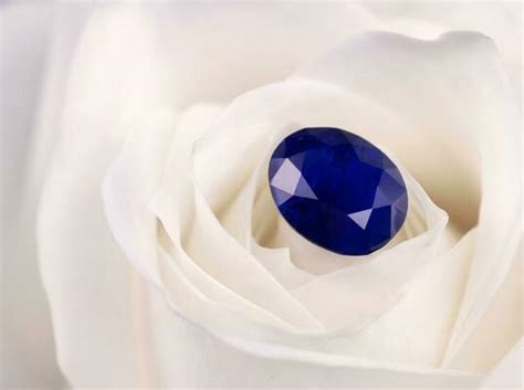 Sapphire Gemstone Stock Photos, Images and Backgrounds for Free Download