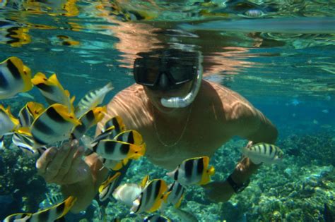 Snorkelen En Duiken In De Middellandse Zee Francecomfort Vakantieparken