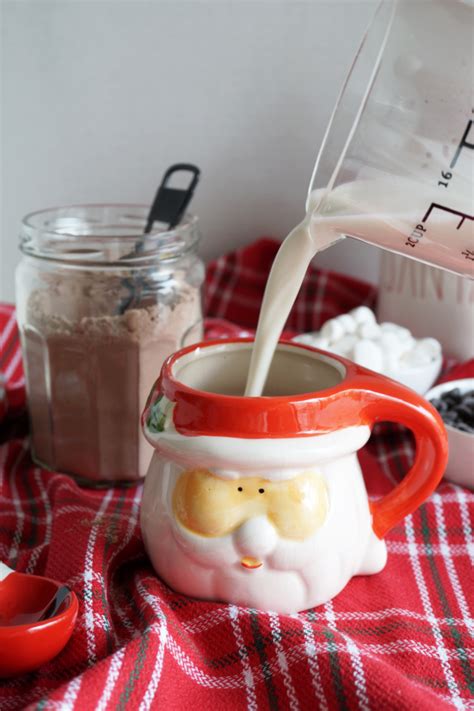 Homemade Vegan Hot Cocoa Mix The Baking Fairy
