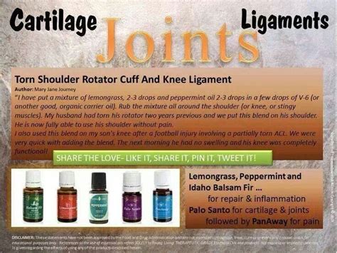 CARTILAGE JOINTS LIGAMENTS Living Essentials Oils Essential Oils