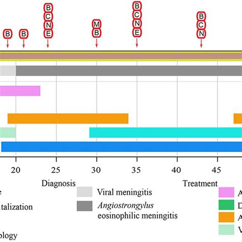 Figure The Clinical Test And Treatment Timeline Of The Patient The Download Scientific Diagram