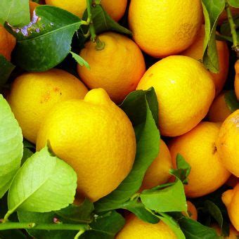 Manfaat Lemon Untuk Membersihkan Dan Menghilangkan Bau Di Rumah