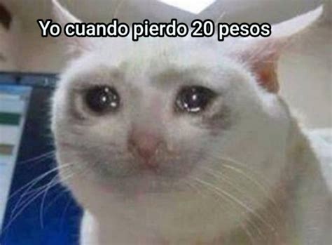 Yo Cuando Pierdo 20 Pesos Generador Memes