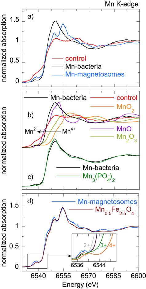 A Normalized Mn K Edge Xanes Spectra Of Control Bacteria Bacteria