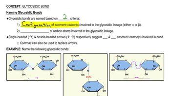 Glycosidic Bond | Channels for Pearson+