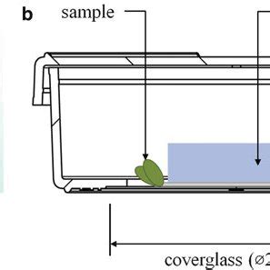 Schematic diagram of glass-bottomed Petri dish used for time course... | Download Scientific Diagram