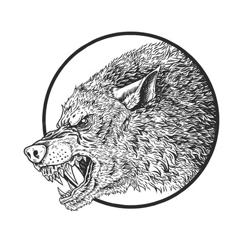 Premium Vector Wolf Head Illustration Artwork