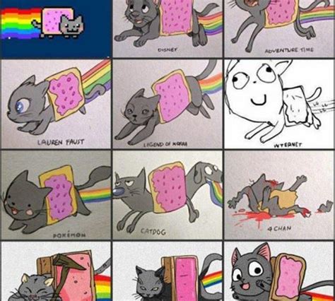 nyan cat real :O - Nyan Cat Photo (31761921) - Fanpop