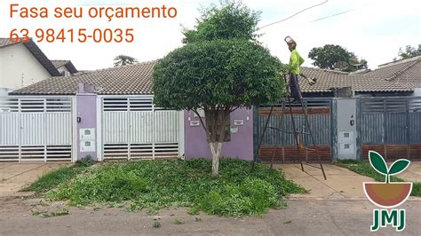 Poda De Árvores Ornamental Utilizando A Multi Funcional Ka 85r Da Stihl