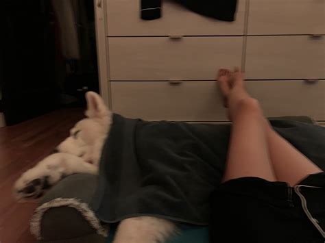 Lena Yada Draiman on Twitter: "Fraidy dog… he’s gotten up 4 times to