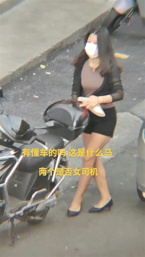 卧龙凤雏？当宝马女司机遇上电动车女司机😂 直播吧