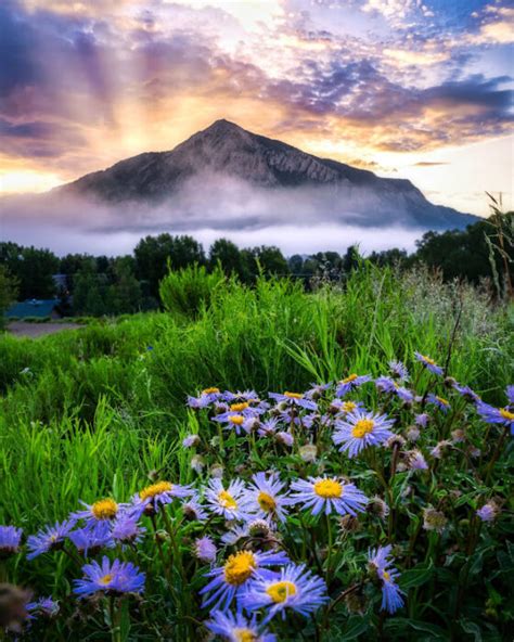 2022 Third Place | Crested Butte Wildflower Festival