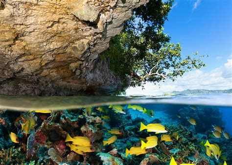 Raja Ampat: a quick guide to visiting the idyllic Papuan archipelago