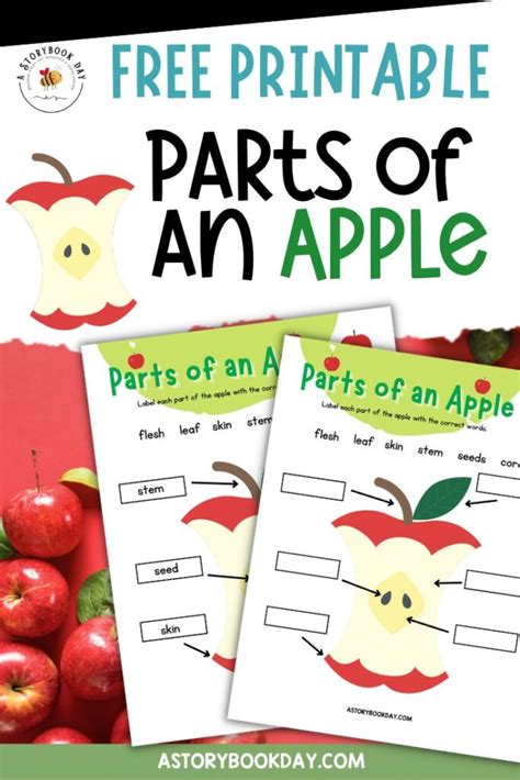 Free Printable Parts Of An Apple Worksheet For Kids A Storybook Day