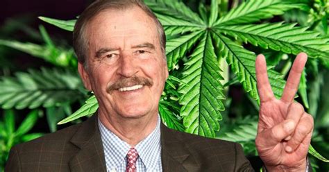 Vicente Fox Y El Cannabis Bajo La Lupa De Amlo Nacion News