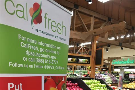 Calfresh News Latest Calfresh News Updates