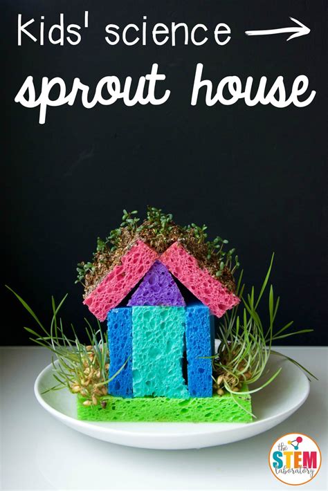 Sprout House - The Stem Laboratory