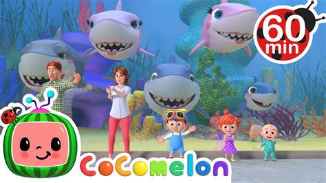 nursery rhymes cocomelon baby shark infoupdateorg