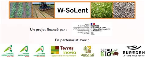 W Solent Les Résultats Du Projet Daccompagnement Des Producteurs De