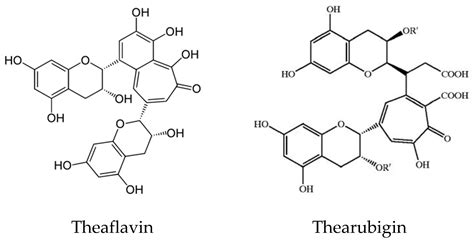 Plant Based Antioxidants Encyclopedia Mdpi