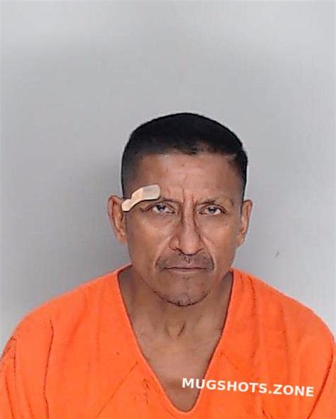 Davila Jose Angel Nueces County Mugshots Zone