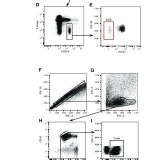 Fig E Gating Strategy To Identify Ilc S And T Cells From Human