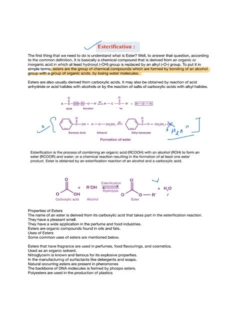 Esterification | PDF