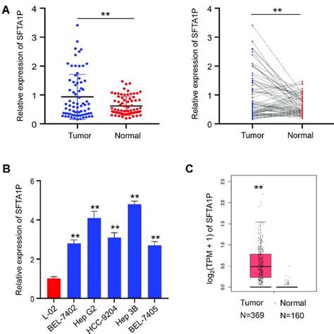 Expression Of LncRNA SFTA1P And Its Relationship With Clinical Features